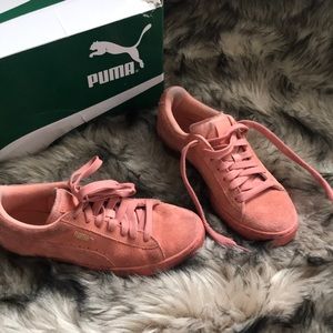 Pumas in the color : desert flower